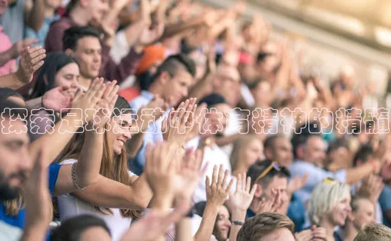 欧亿体育app首页赛富乐斯探索足球运动中体育精神的精髓