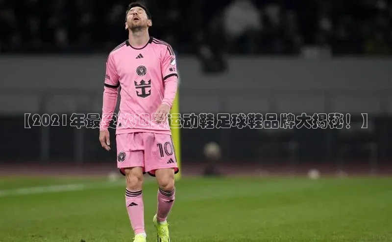 欧亿体育免费登录入口颐驰 06【2021年最受欢迎男运动鞋足球鞋品牌大揭秘！】