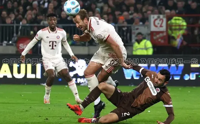 欧亿体育综合app平台美团中国足球男子运动员名单大全，包括职业队及国家队球员一览