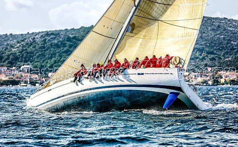 竞技与文明：运动赛事中的体育精神展现