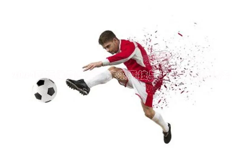 2024国际体育盛事：未来竞技与文化交流的桥梁