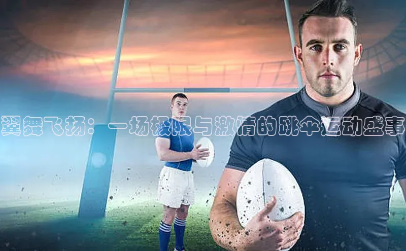 翼舞飞扬：一场极限与激情的跳伞运动盛事