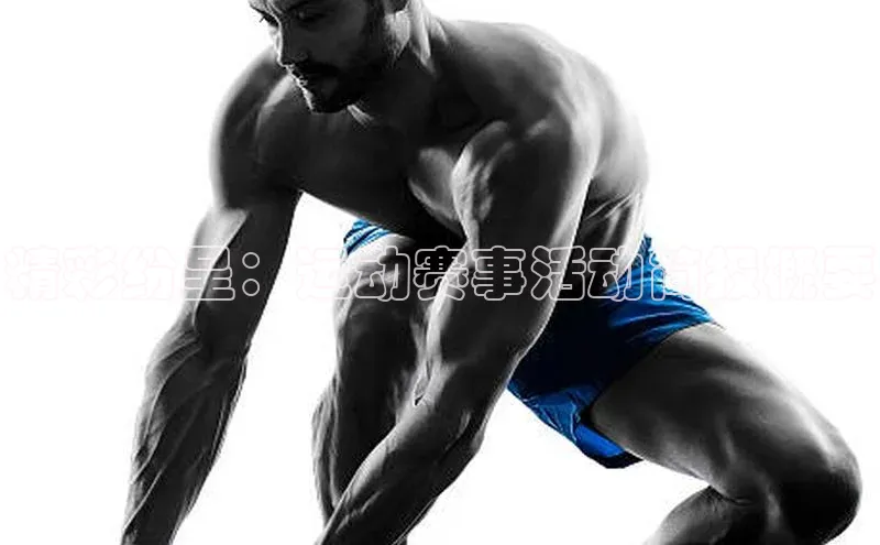 精彩纷呈：运动赛事活动简报概要