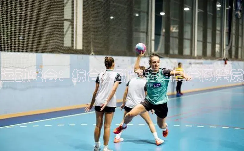 运动盛会：综合运动赛事道具全图鉴赏