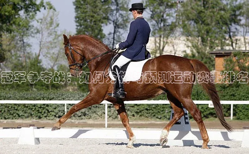 冠军争夺战：如何分析与预测运动赛事排名