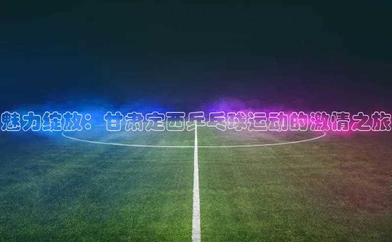 魅力绽放：甘肃定西乒乓球运动的激情之旅