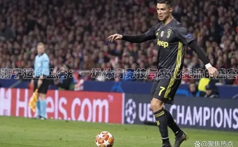 海宁运动盛会：一场体育竞技与文化交流的盛宴