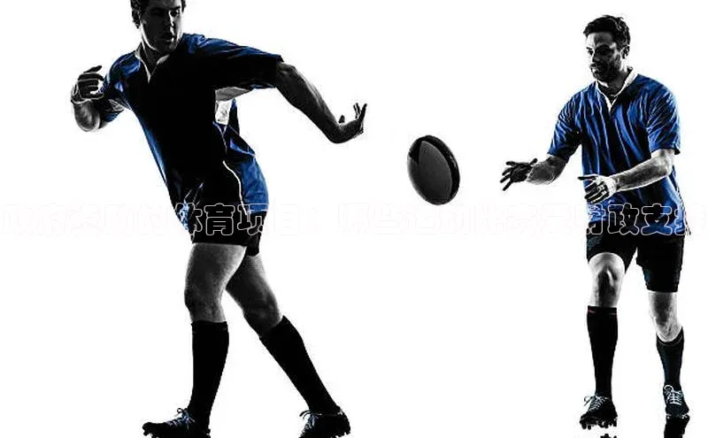 政府资助的体育项目：哪些运动比赛受财政支持