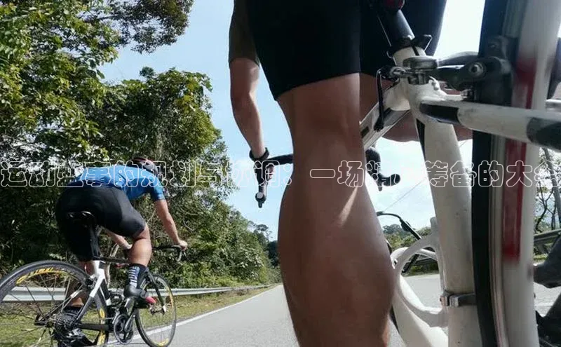 运动盛事的规划与协调：一场精心筹备的大会