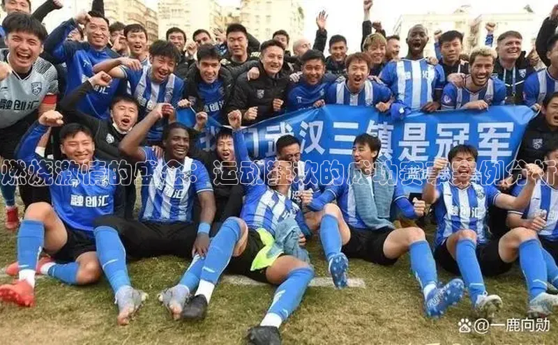 燃烧激情的盛会：运动狂欢的成功赛事案例分析